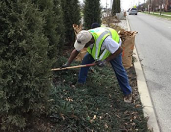 Green-Steward1A-350x270