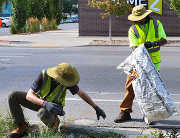 Green Stewards Team for gallery 2