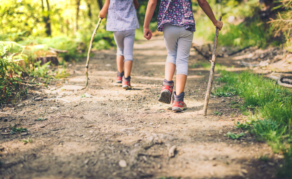 Children,Hiking,In,Mountains,Or,Forest,With,Sport,Hiking,Shoes.