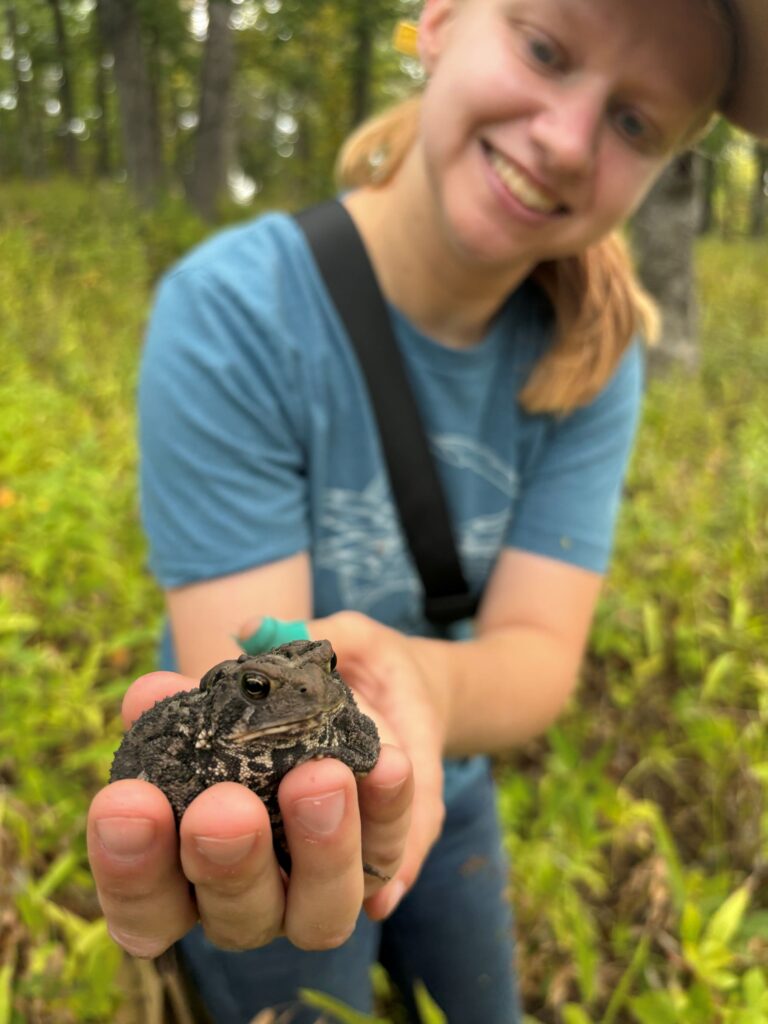 Blue River Restore 1